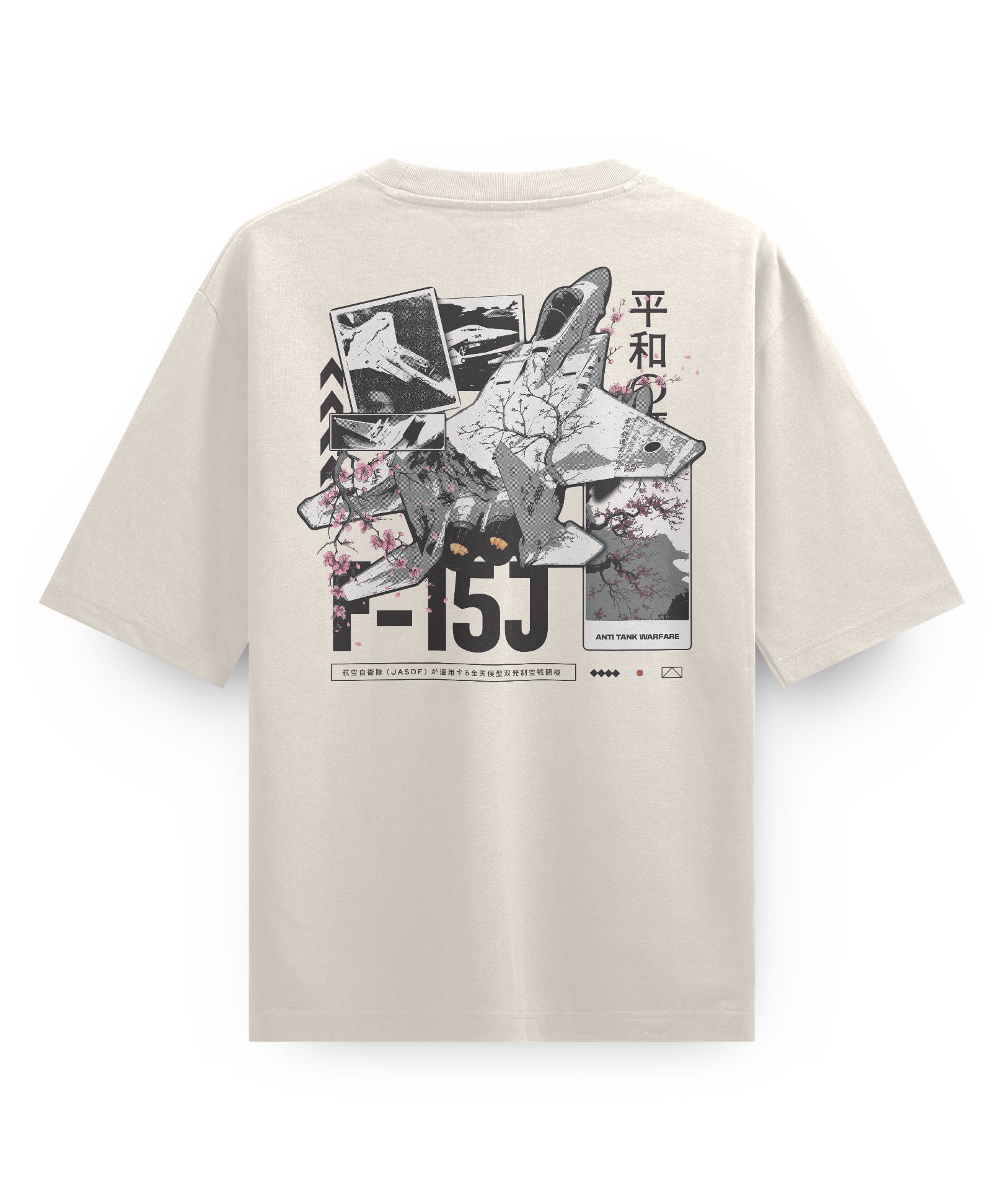 F-15J_W_AS-5082_Back.jpg