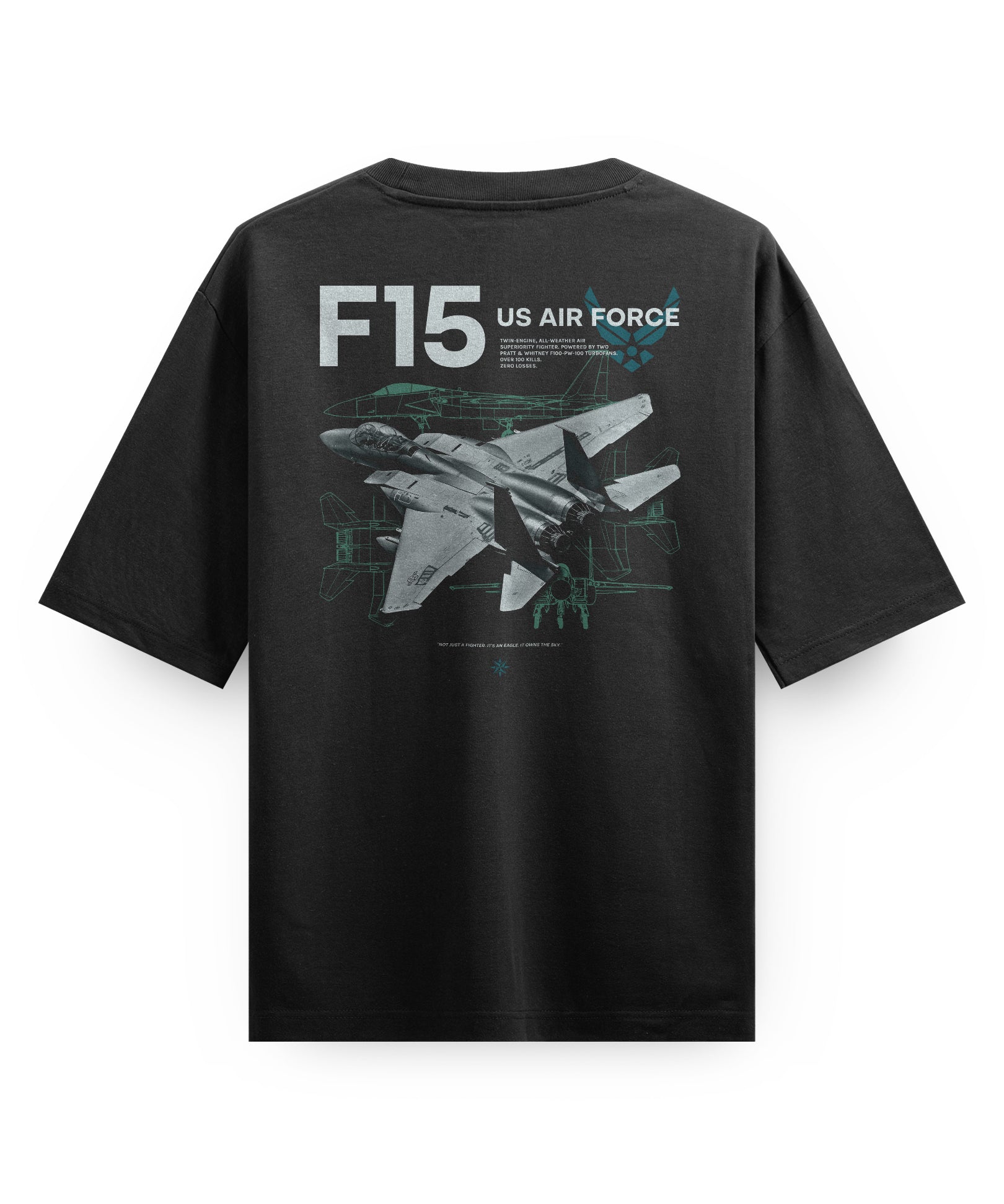 F15NatowaveUSABBACK.jpg