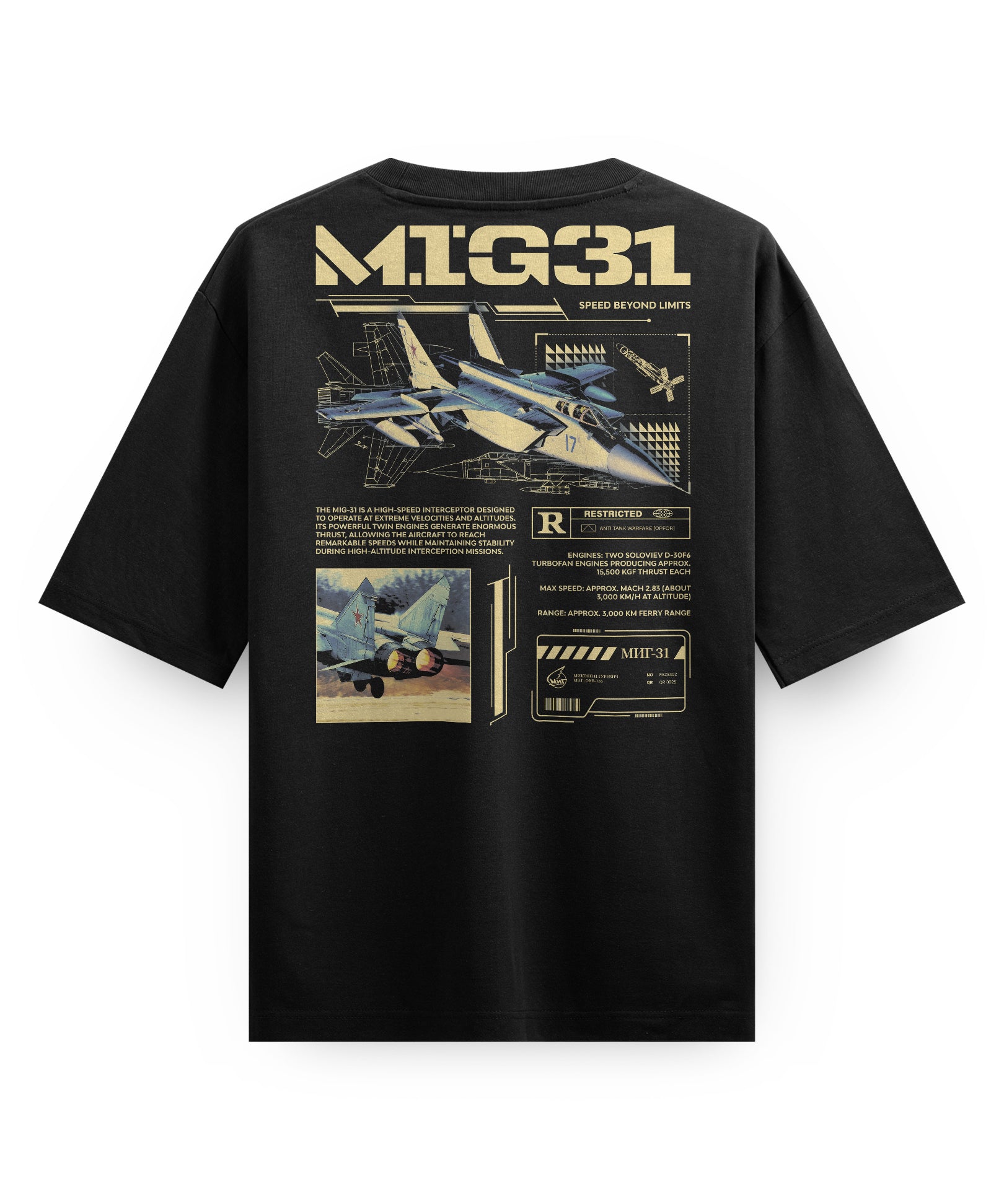 MiG-31_B_MC1087_Back.jpg
