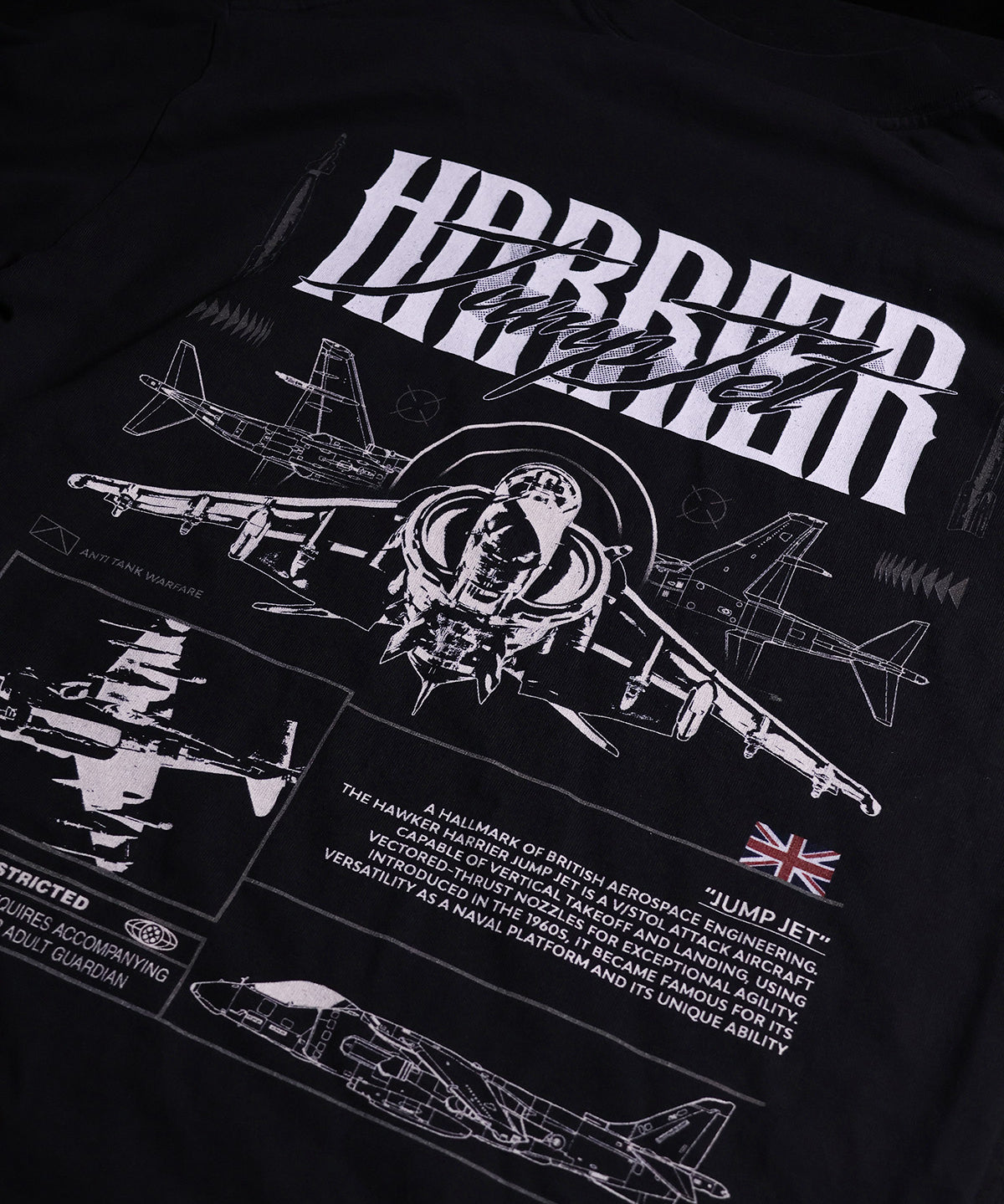 harrier1.jpg